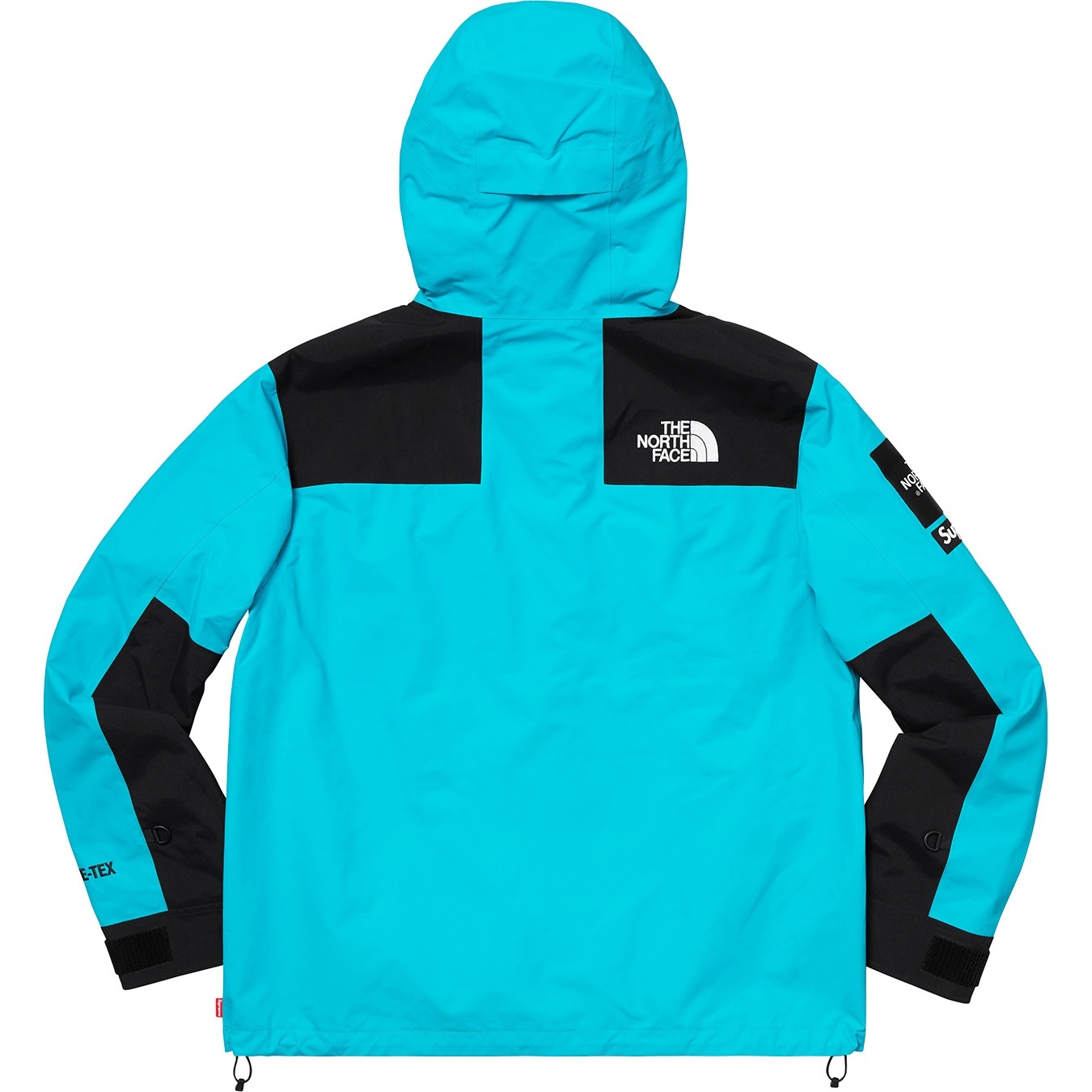Supreme®/The North Face® Arc Logo Mountain Parka view 14